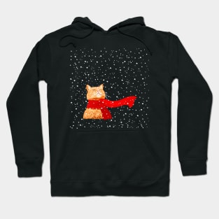 Tabby loves Snow.... Hoodie